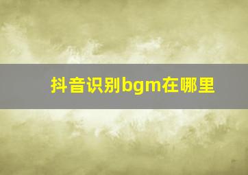 抖音识别bgm在哪里