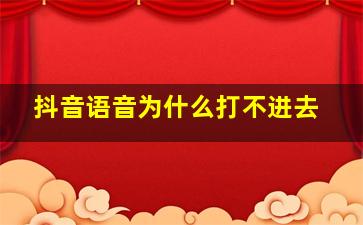 抖音语音为什么打不进去