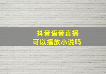 抖音语音直播可以播放小说吗