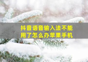 抖音语音输入法不能用了怎么办苹果手机