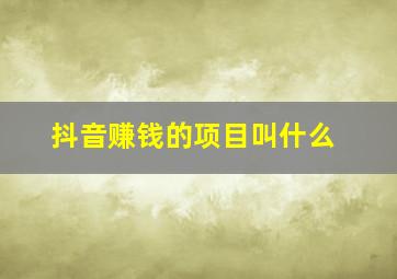 抖音赚钱的项目叫什么