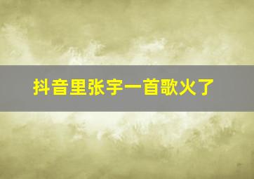 抖音里张宇一首歌火了