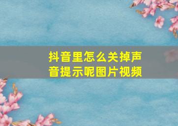 抖音里怎么关掉声音提示呢图片视频