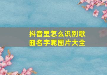 抖音里怎么识别歌曲名字呢图片大全