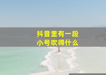 抖音里有一段小号吹得什么