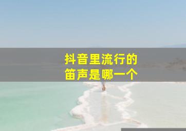 抖音里流行的笛声是哪一个