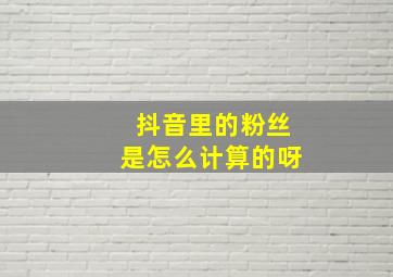 抖音里的粉丝是怎么计算的呀