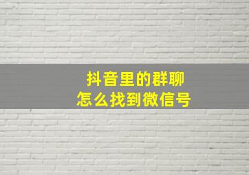 抖音里的群聊怎么找到微信号