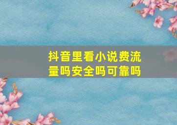 抖音里看小说费流量吗安全吗可靠吗