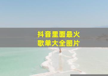 抖音里面最火歌单大全图片