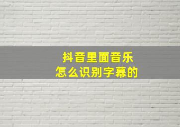 抖音里面音乐怎么识别字幕的