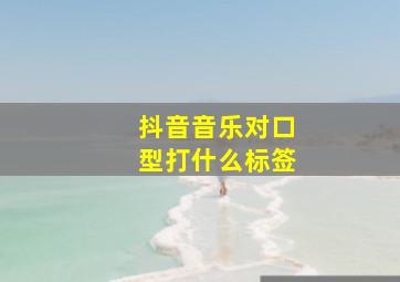 抖音音乐对口型打什么标签