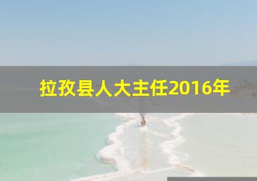 拉孜县人大主任2016年