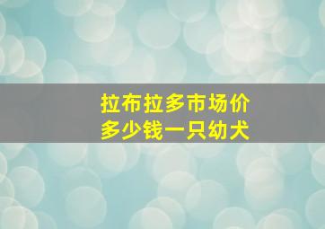 拉布拉多市场价多少钱一只幼犬