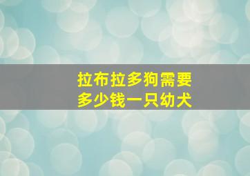 拉布拉多狗需要多少钱一只幼犬