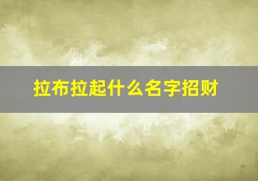 拉布拉起什么名字招财