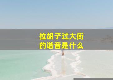 拉胡子过大街的谐音是什么