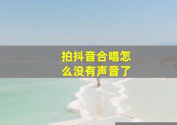 拍抖音合唱怎么没有声音了