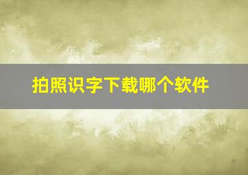 拍照识字下载哪个软件