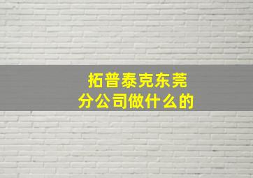 拓普泰克东莞分公司做什么的