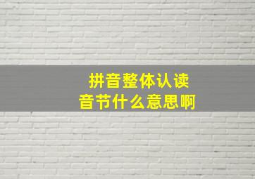 拼音整体认读音节什么意思啊