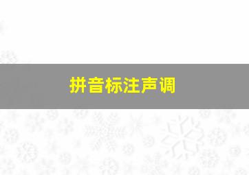 拼音标注声调