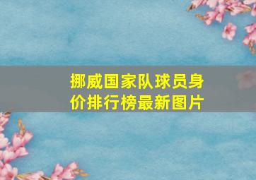 挪威国家队球员身价排行榜最新图片