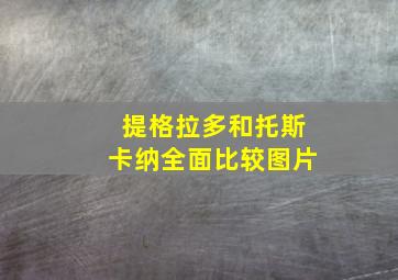 提格拉多和托斯卡纳全面比较图片