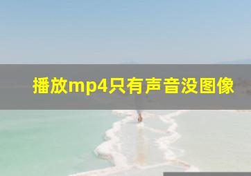 播放mp4只有声音没图像