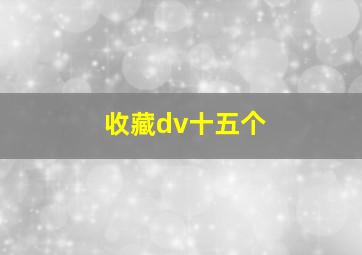 收藏dv十五个