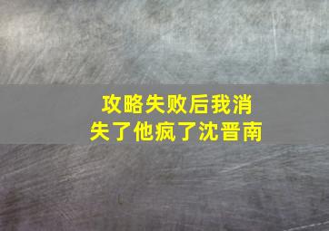 攻略失败后我消失了他疯了沈晋南