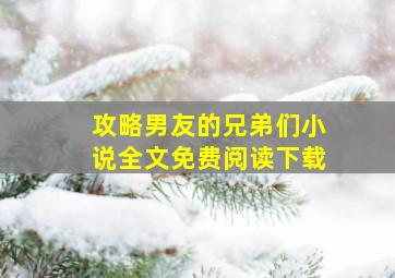 攻略男友的兄弟们小说全文免费阅读下载