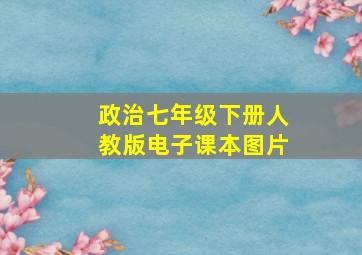 政治七年级下册人教版电子课本图片