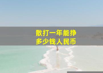 散打一年能挣多少钱人民币