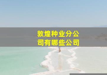 敦煌种业分公司有哪些公司