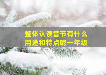 整体认读音节有什么用途和特点呢一年级