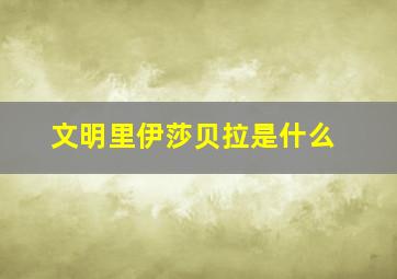 文明里伊莎贝拉是什么