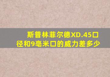 斯普林菲尔德XD.45口径和9亳米口的威力差多少