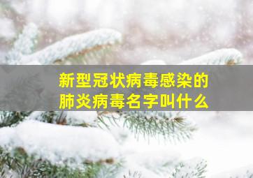 新型冠状病毒感染的肺炎病毒名字叫什么