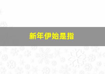 新年伊始是指