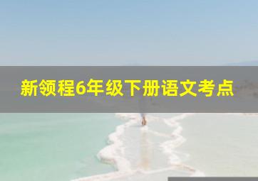 新领程6年级下册语文考点