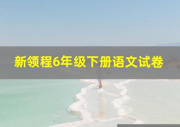 新领程6年级下册语文试卷