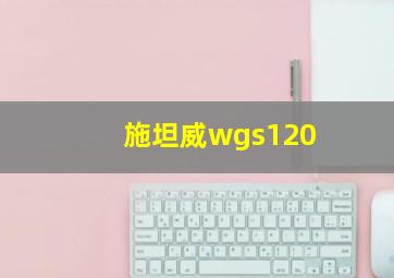 施坦威wgs120