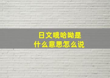 日文哦哈呦是什么意思怎么说