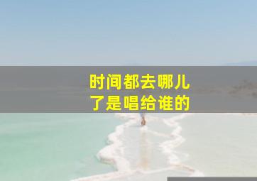 时间都去哪儿了是唱给谁的