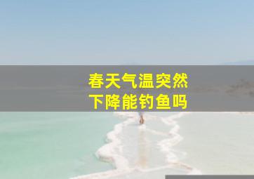 春天气温突然下降能钓鱼吗