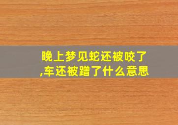 晚上梦见蛇还被咬了,车还被蹭了什么意思