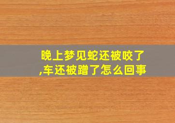 晚上梦见蛇还被咬了,车还被蹭了怎么回事