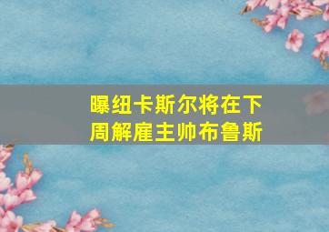 曝纽卡斯尔将在下周解雇主帅布鲁斯