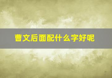 曹文后面配什么字好呢